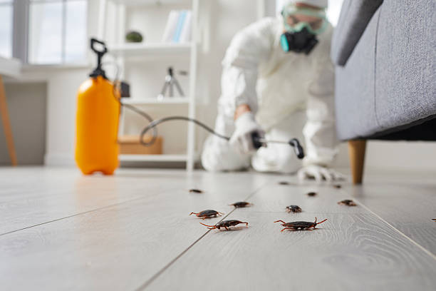 Commercial Kitchen Cockroach Control in Offutt AFB