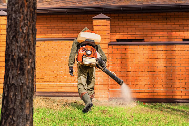 Cockroach Follow-Up and Monitoring in Offutt AFB